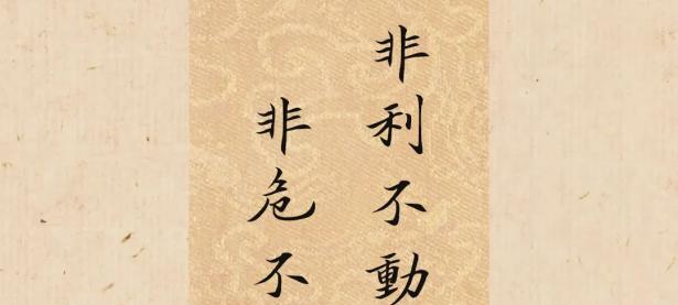 米兰体育vip注册-马洛卡攻防有序，势必再接再厉