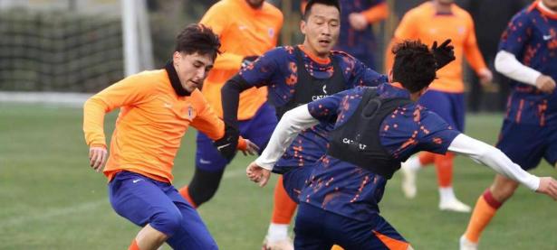 米兰体育入口-外援助阵，球队士气大增追逐胜利的简单介绍