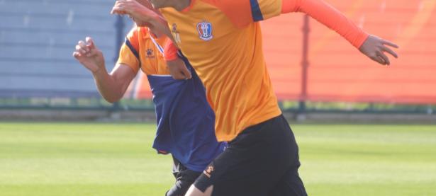 米兰体育视频-关于布里斯班主教练拼搏本土球斗的信息