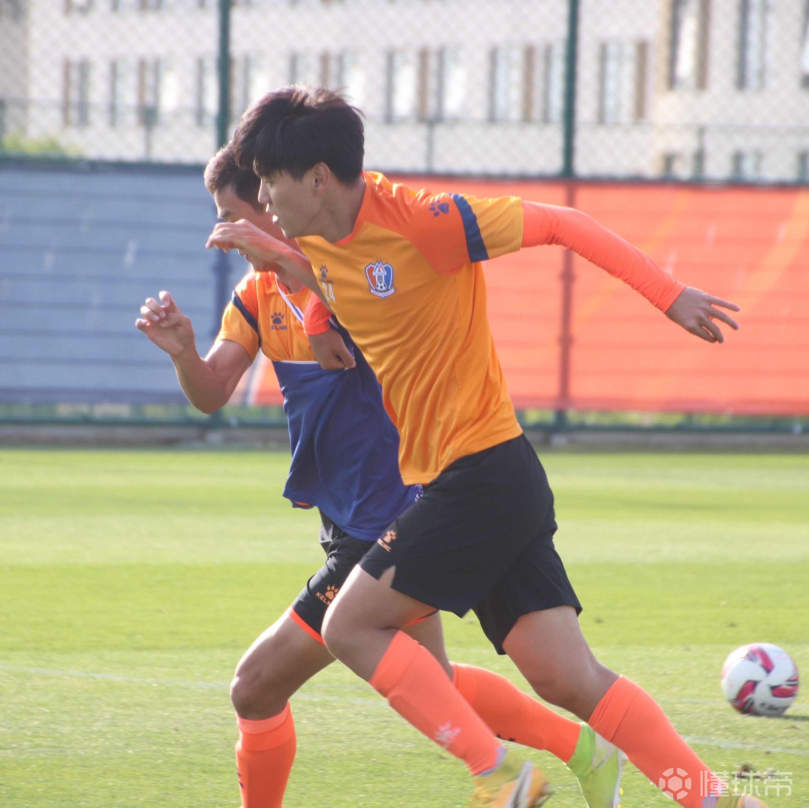 关于布里斯班主教练拼搏本土球斗的信息